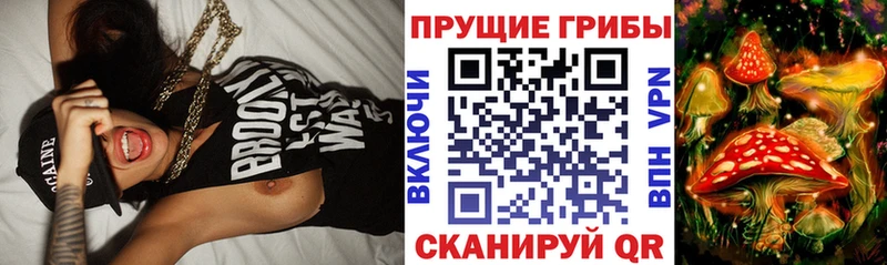 Псилоцибиновые грибы мицелий  Купить закладки  Усть-Илимск 